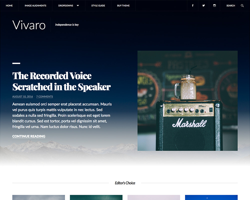 Vivaro theme screenshot